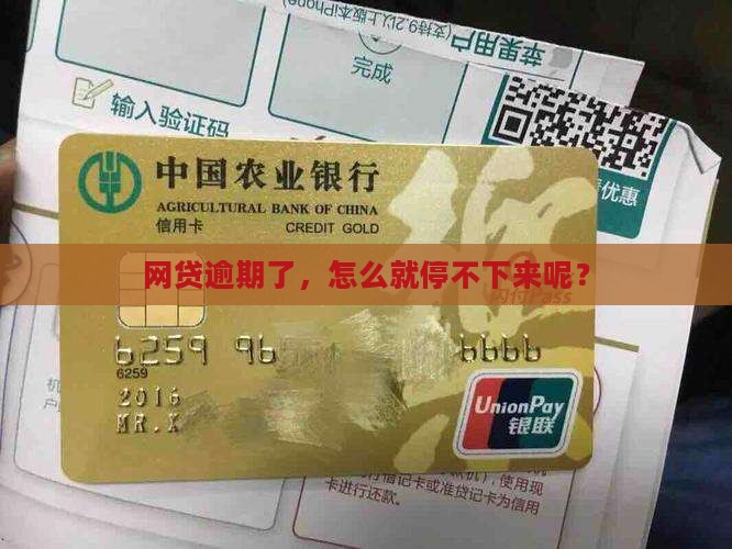 网贷要是一直逾期