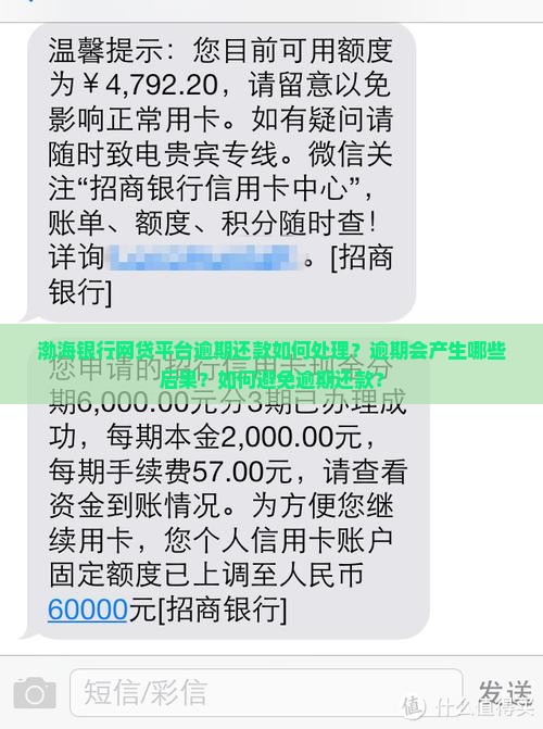 渤海银行网贷平台逾期应该如何处理