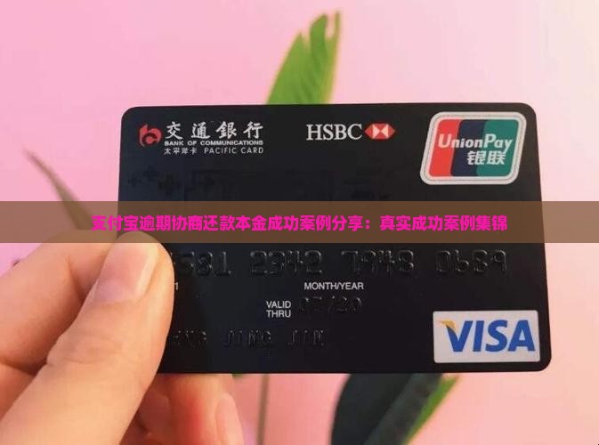 支付宝协商还款本金有成功案例吗