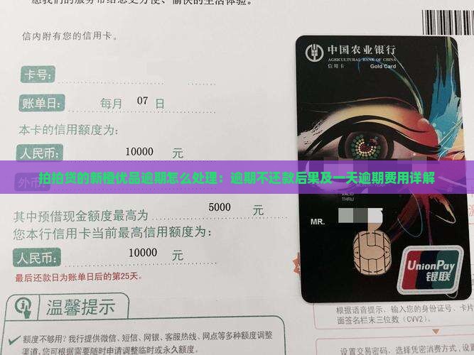 拍拍贷的新橙优品逾期怎么处理