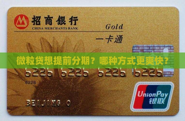 微粒贷怎么提前分期更合适 微粒贷怎么提前分期更合适