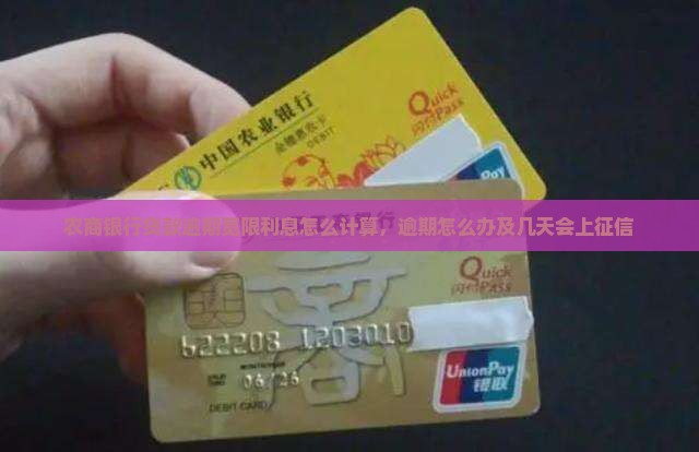 农商银行贷款逾期宽限利息怎么计算