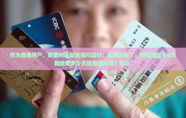 陕西信合秦e贷还款逾期后可以申请延期吗