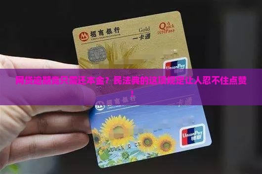 民法典规定网贷逾期只还本金