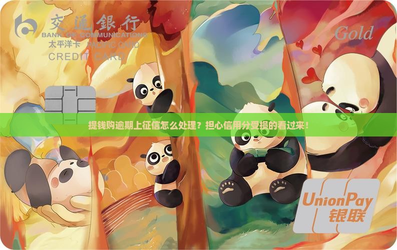 提钱购逾期上征信怎么处理 提钱购逾期上征信怎么处理