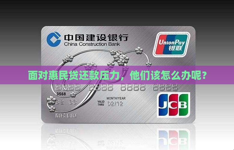 惠民贷无力偿还什么意思
