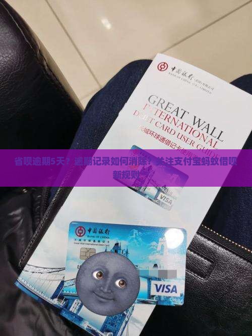 省呗逾期5天