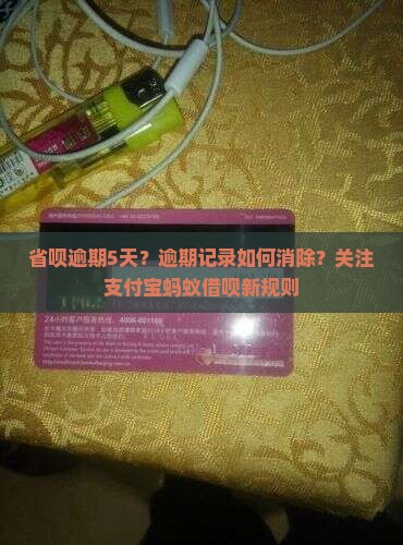 省呗逾期5天