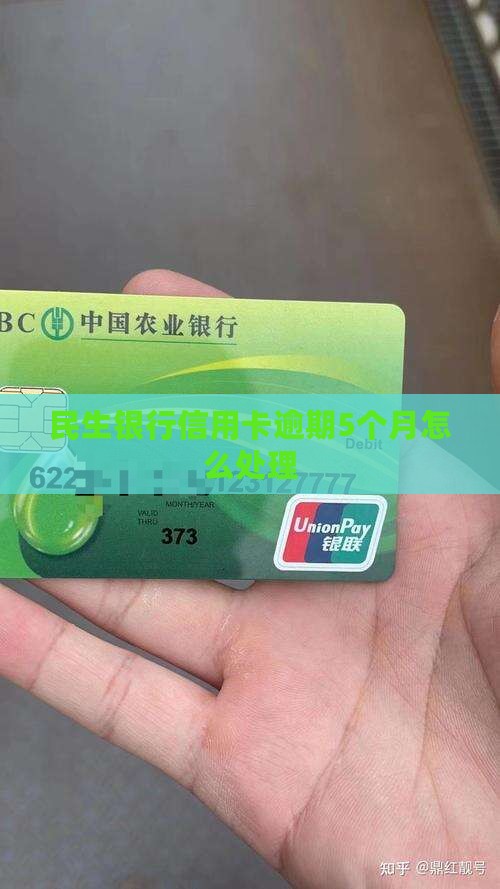 民生银行信用卡逾期5个月怎么处理