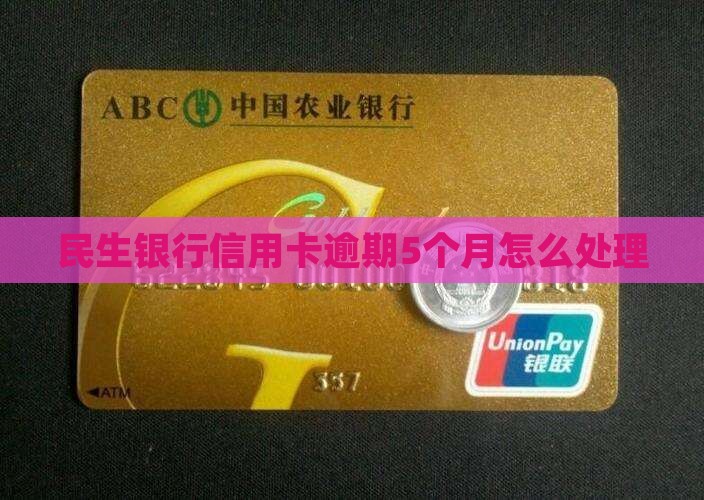 民生银行信用卡逾期5个月怎么处理