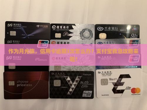 支付宝信用卡逾期未还处理方法