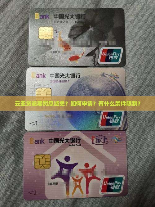 云亚贷逾期罚息减免