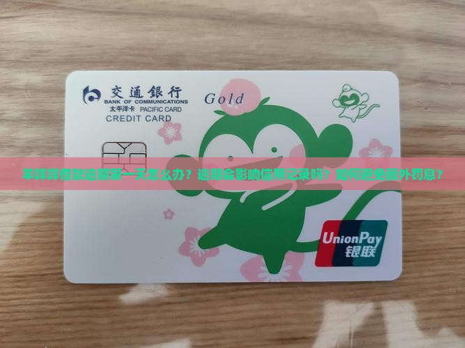 羊咩咩借款逾期第一天应该怎么处理
