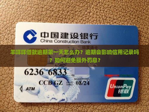 羊咩咩借款逾期第一天应该怎么处理