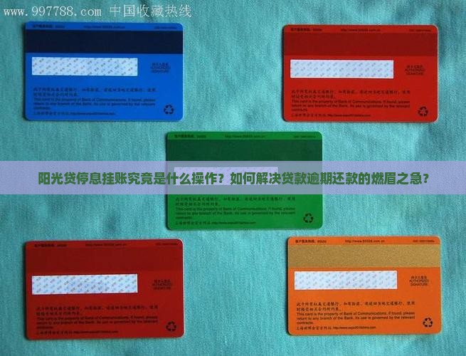 阳光贷停息挂账什么意思