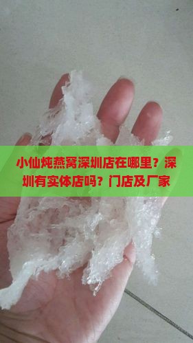 小仙炖燕窝深圳店在哪里？深圳有实体店吗？门店及厂家位置