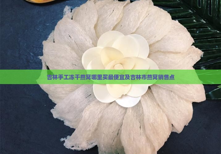 吉林手工冻干燕窝哪里买最便宜及吉林市燕窝销售点