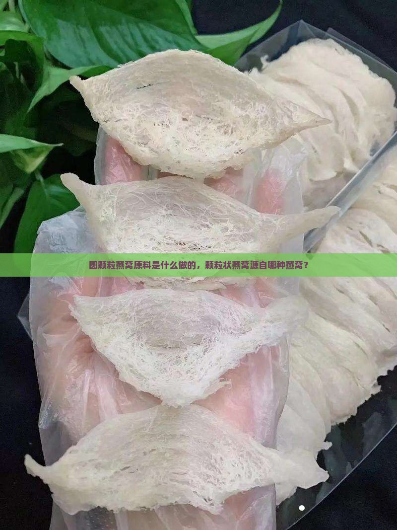 圆颗粒燕窝原料是什么做的，颗粒状燕窝源自哪种燕窝？
