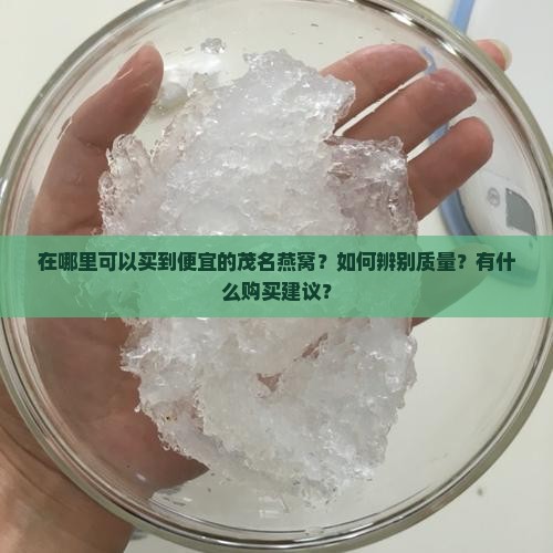 在哪里可以买到便宜的茂名燕窝？如何辨别质量？有什么购买建议？
