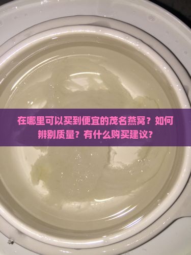 在哪里可以买到便宜的茂名燕窝？如何辨别质量？有什么购买建议？