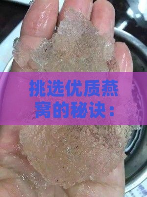 挑选优质燕窝的秘诀：如何购买高品质燕窝