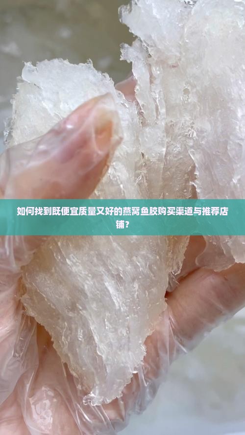 如何找到既便宜质量又好的燕窝鱼胶购买渠道与推荐店铺？