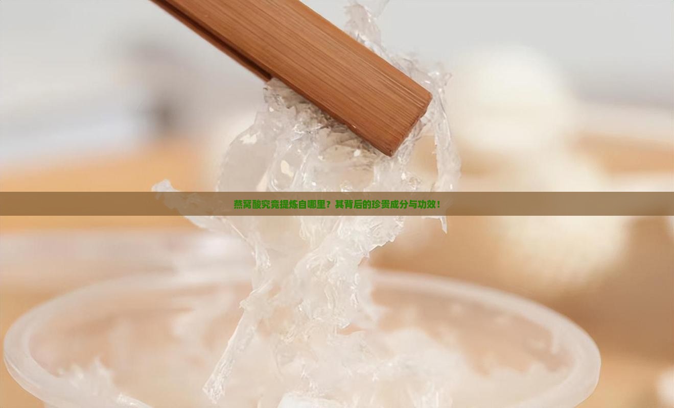 燕窝酸究竟提炼自哪里？其背后的珍贵成分与功效！