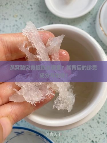 燕窝酸究竟提炼自哪里？其背后的珍贵成分与功效！
