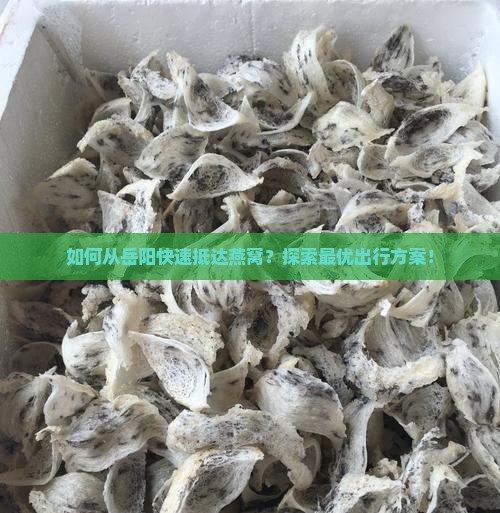 如何从岳阳快速抵达燕窝？探索最优出行方案！