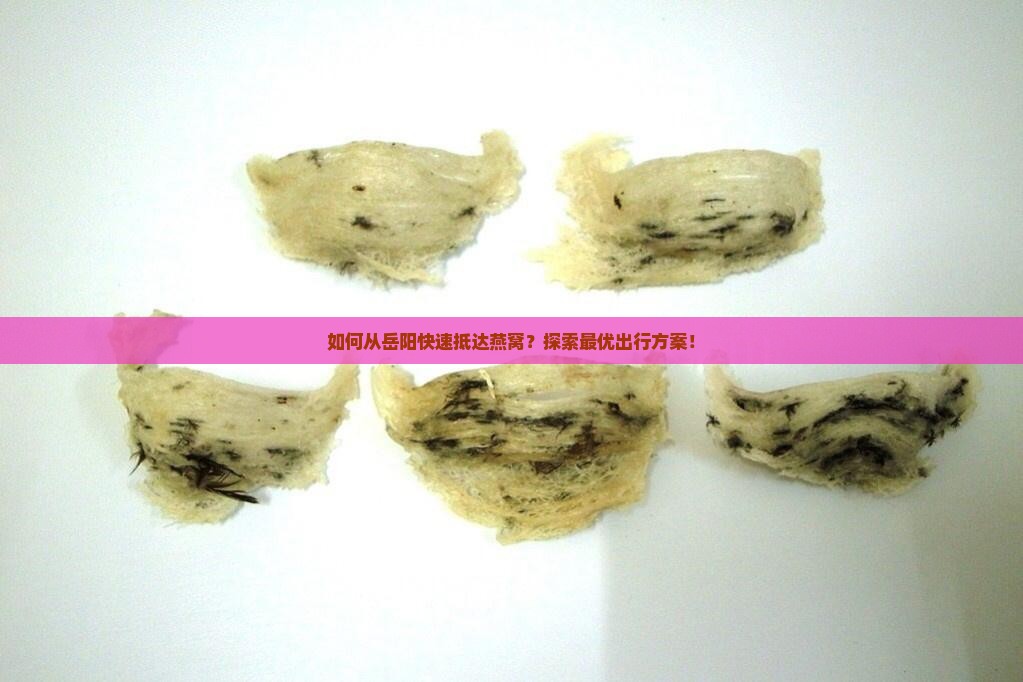 如何从岳阳快速抵达燕窝？探索最优出行方案！