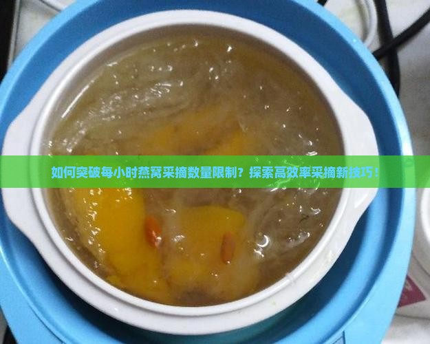 如何突破每小时燕窝采摘数量限制？探索高效率采摘新技巧！