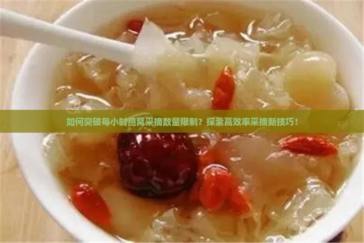 如何突破每小时燕窝采摘数量限制？探索高效率采摘新技巧！