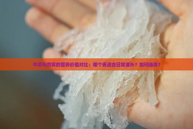 牛奶与燕窝的营养价值对比：哪个更适合日常滋补？如何选择？