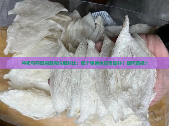 牛奶与燕窝的营养价值对比：哪个更适合日常滋补？如何选择？