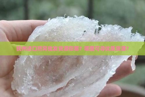 抚州进口燕窝批发货源在哪？哪里可寻优质货源？