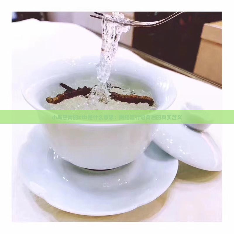 小鸟燕窝的ztb是什么意思：网络流行语背后的真实含义