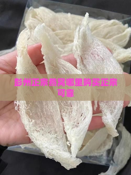 彭州正宗燕窝哪里购买正宗可靠