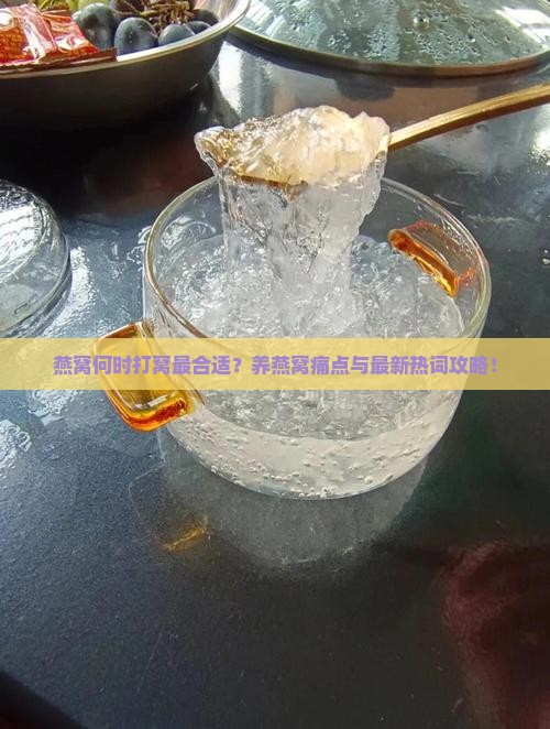 燕窝何时打窝最合适？养燕窝痛点与最新热词攻略！