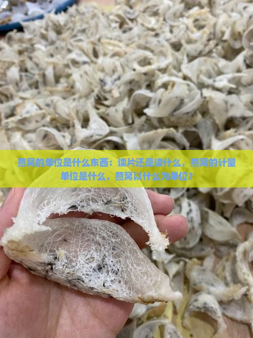 燕窝的单位是什么东西：读片还是读什么，燕窝的计量单位是什么，燕窝以什么为单位？