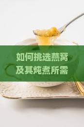 如何挑选燕窝及其炖煮所需配料与步骤是什么？