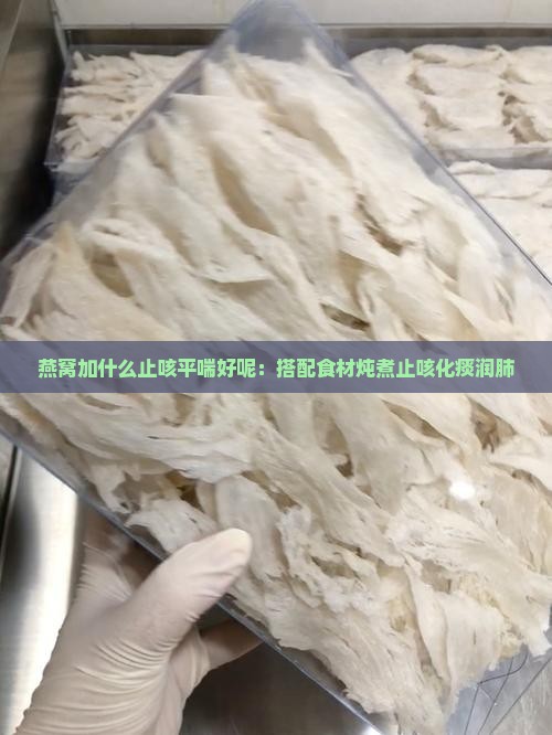 燕窝加什么止咳平喘好呢:搭配食材炖煮止咳化痰润肺 燕窝加什么止咳平喘好呢:搭配食材炖煮止咳化痰润肺