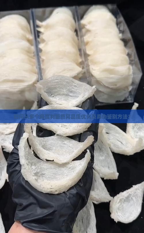 如何从多个角度判断燕窝品质优劣及真伪鉴别方法？
