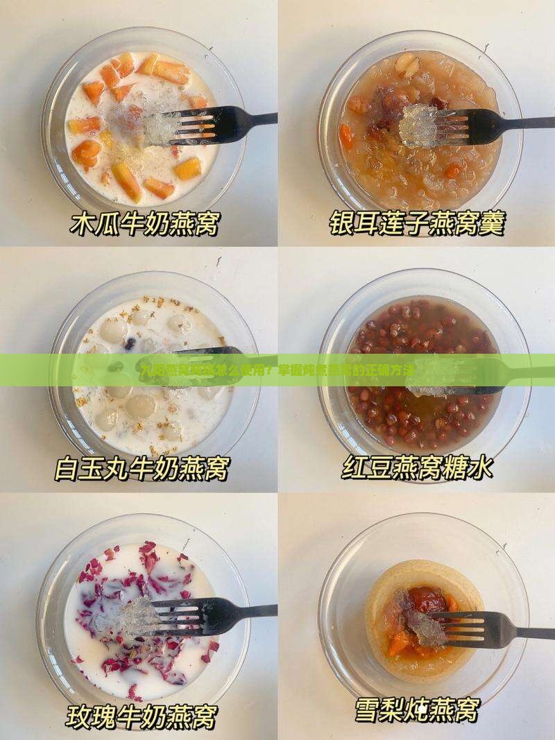 九阳燕窝炖锅怎么使用?掌握炖煮燕窝的正确方法 九阳燕窝炖锅怎么使用?掌握炖煮燕窝的正确方法