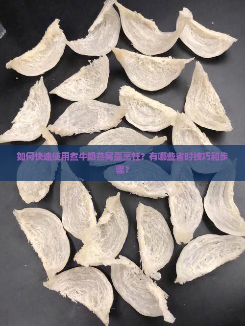 如何快速使用煮牛奶燕窝壶烹饪？有哪些省时技巧和步骤？