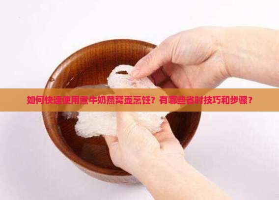如何快速使用煮牛奶燕窝壶烹饪？有哪些省时技巧和步骤？