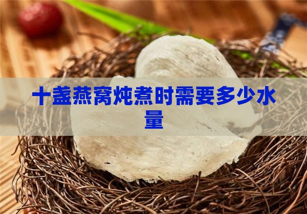 十盏燕窝炖煮时需要多少水量