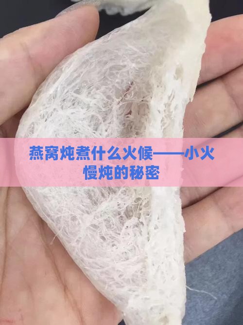 燕窝炖煮什么火候——小火慢炖的秘密