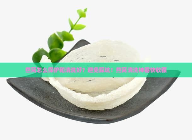 燕窝怎么保护和清洗好？避免踩坑！燕窝清洗神器快收藏