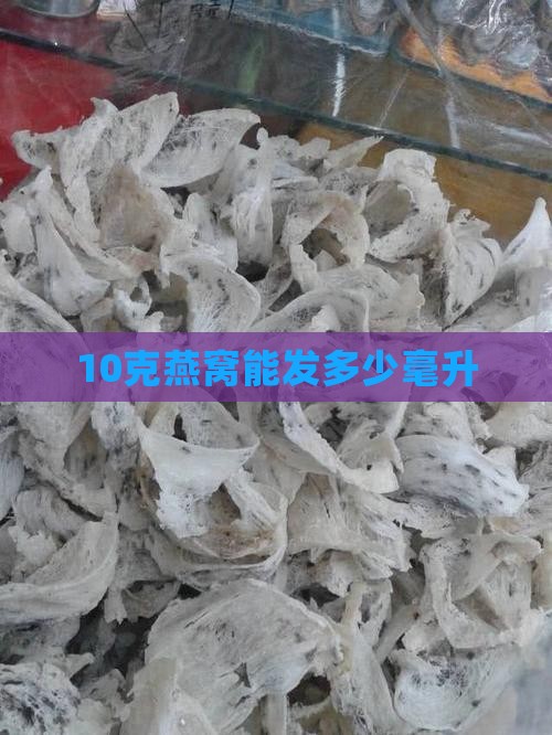 10克燕窝能发多少毫升