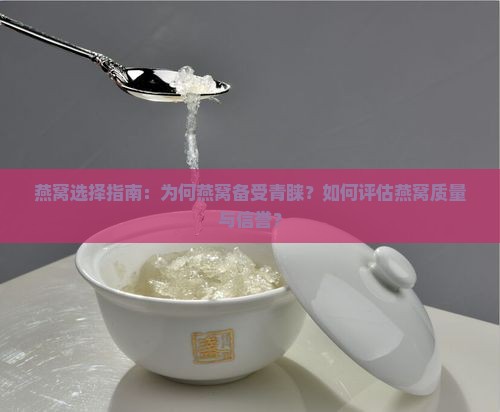 燕窝选择指南：为何燕窝备受青睐？如何评估燕窝质量与信誉？